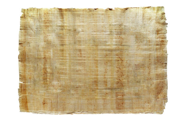 hoja de papiro egipcio natural aislada - scroll paper old yellowed fotografías e imágenes de stock