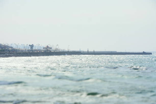 istock Coastline of Tel Aviv 890205088