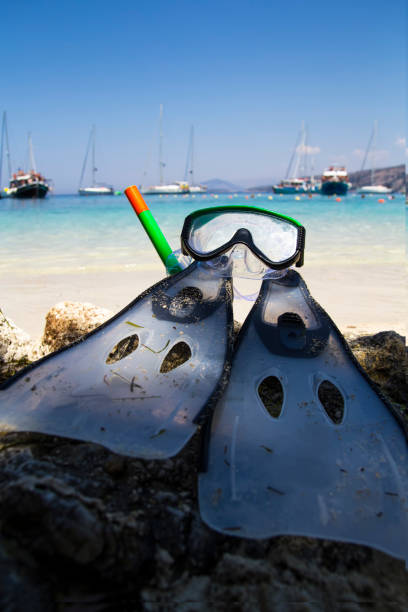 equipamento de mergulho na praia - lord howe island - fotografias e filmes do acervo