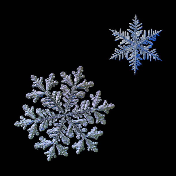 istock Two snowflakes isolated on black background 890218050