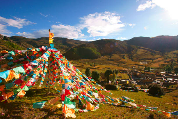 Tibetan landscape - grassland, snow-capped mountains, sky, white clouds