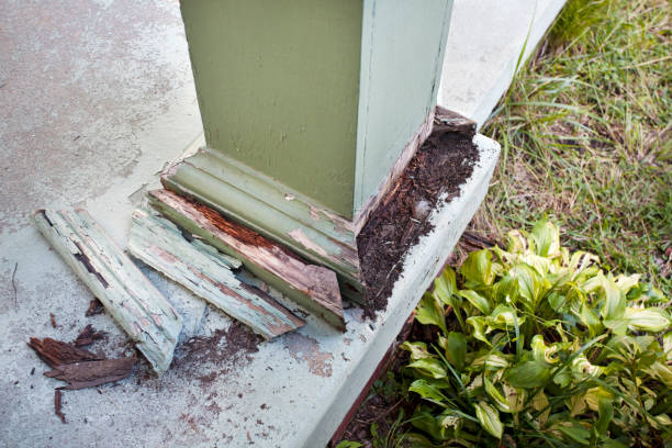 Post Damage Detail of column post damage on home's front porch. termite photos stock pictures, royalty-free photos & images