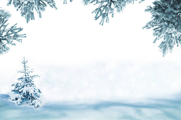 istock Christmas card with fir branches. 890221158