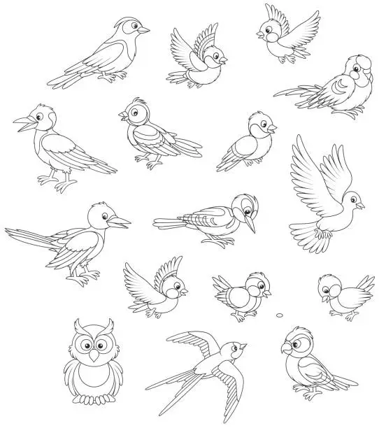 Vector illustration of Set of birds