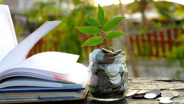 plante de plus en plus dans le bocal avec de nombreuses pièces et pile de livres. coût d’investissement, économiser de l’argent, notion de l’intérêt, l’éducation thèmes. - savings piggy bank blackboard bank account photos et images de collection