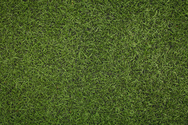 istock Green artificial grass soccer field. The green background. 890236362