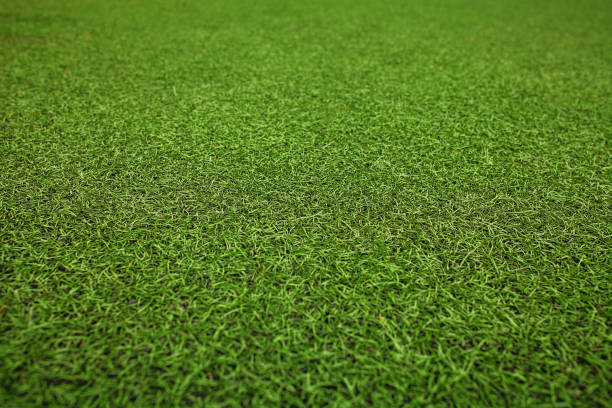 istock Green artificial grass soccer field. The green background. 890239254