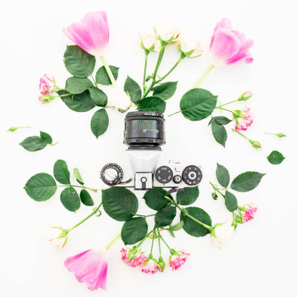 istock Old Camera and flowers on white background. Flat lay, Top view 890244300
