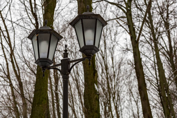istock Black street lamp 890245538