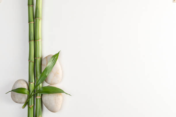 камни и бамбук на белом, фэн-шуй вид сверху - bamboo zen like buddhism spa treatment стоковые фото и изображения