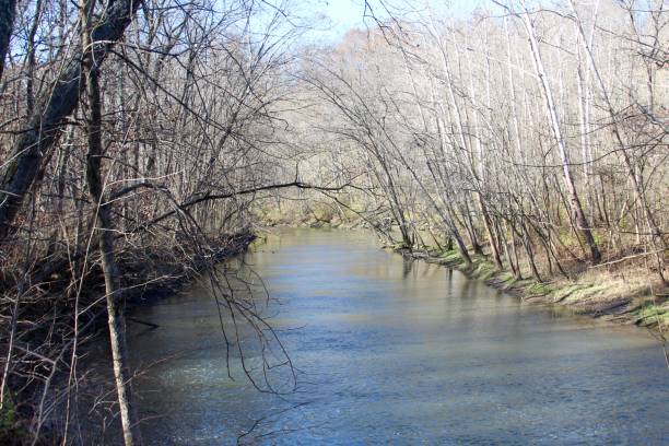 istock Creek in Autumn Forest 890254388