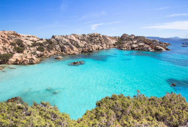istock Cala Coticcio Beach, Sardinia, Italy 890254524