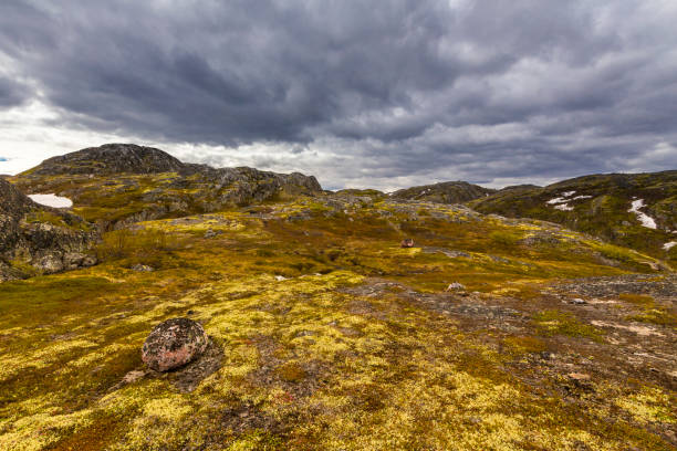 istock Beautiful arctic summer landscape 890263610