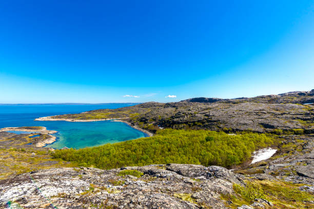 istock Beautiful arctic summer landscape on Barents sea 890263754