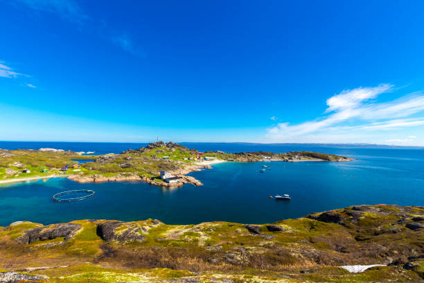 istock Beautiful arctic summer landscape on Barents sea 890263776