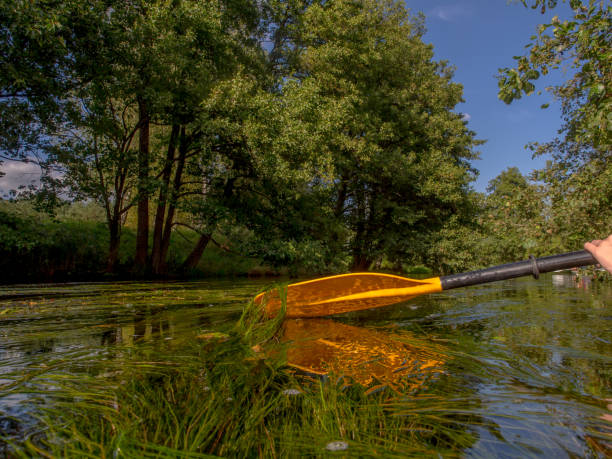 gelben paddel - clear sky outdoors canoeing china stock-fotos und bilder