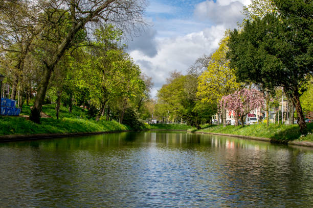 istock green landscape view with grass water and blue sky 890273246