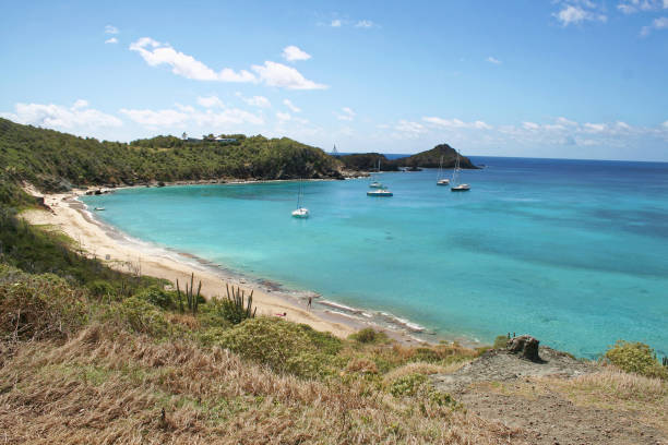 istock Anse a Colombier - Saint Barthelemy FWI 890274030