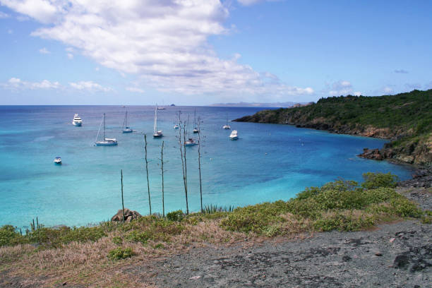 istock Caribbean beach - Saint Barthelemy FWI 890276158