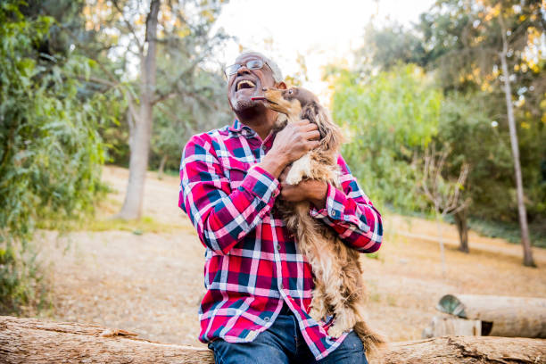 Man and his best friend An African American senior man playing with his dog dog disruptagingcollection stock pictures, royalty-free photos & images