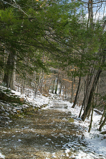 Winter Walking Trail - Youngstown, Ohio  youngstown stock pictures, royalty-free photos & images