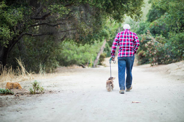 istock Senior African American Man Walking his Dog 890288098