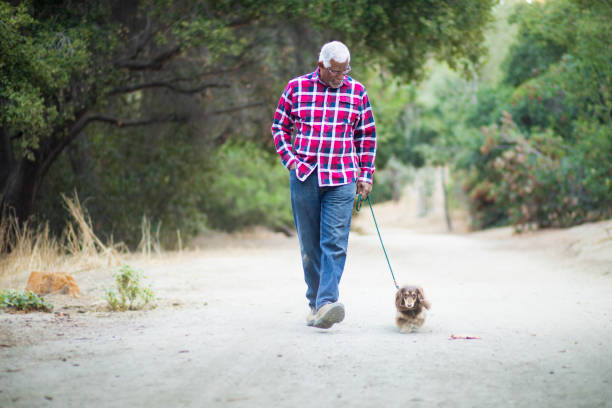 istock Senior African American Man Walking his Dog 890288104