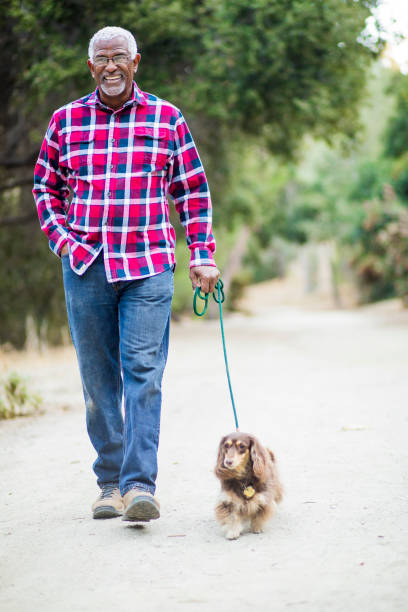 istock Senior African American Man Walking his Dog 890288112