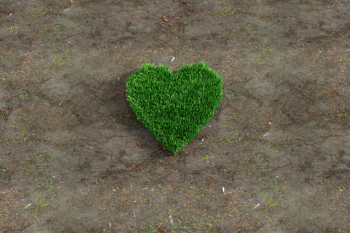 cluster of grass in the shape of a heart, 3d rendering