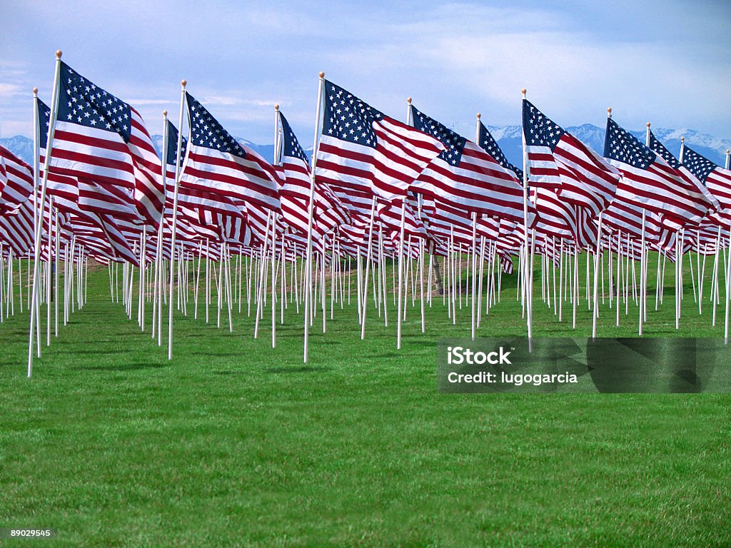 Bereich der Flags - Lizenzfrei 2004 Stock-Foto