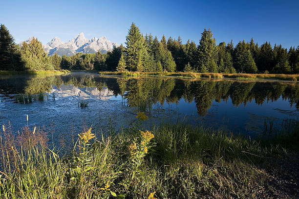 istock Schwabachers Landing  and Tetons 89029815