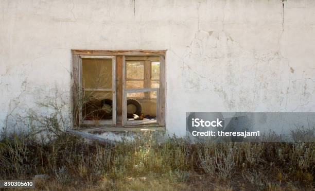 Abandoned Old House Stock Photo - Download Image Now - Abandoned, Adobe - Material, Aging Process