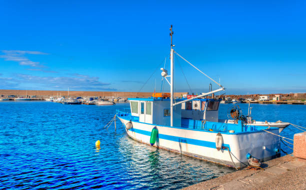 istock Small harbor full of boats 890310260