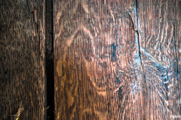 textura de fundo natural escura madeira. - knotted wood brown wood material - fotografias e filmes do acervo