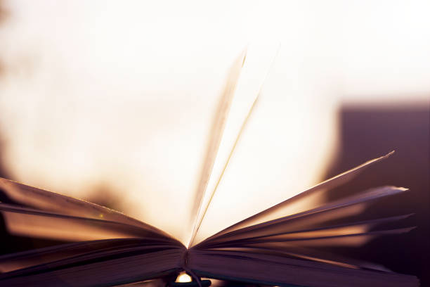 istock Open book on wooden table on natural background. Soft focus 890317242