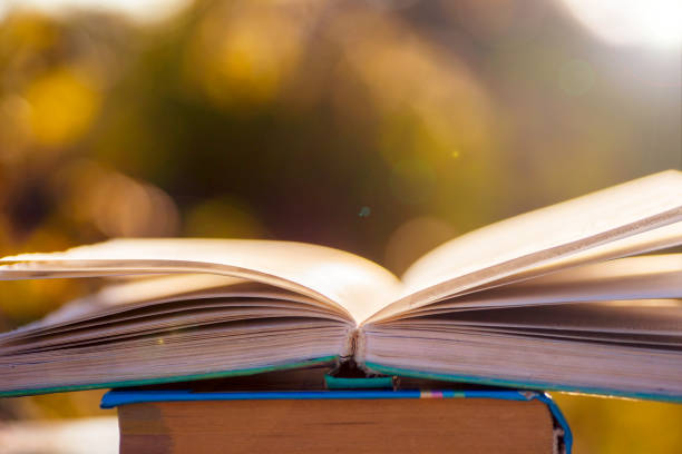 istock Open book on wooden table on natural background. Soft focus 890319330