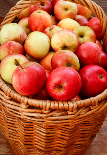 istock Bright tasty ripe apples in a basket 890319412