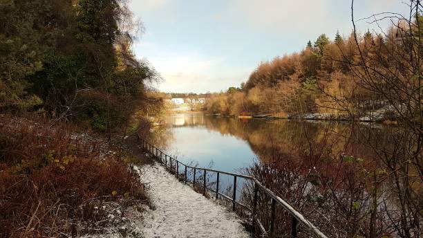 Eliburn Reservoir Winter