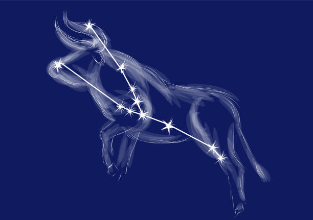 ilustraciones, imágenes clip art, dibujos animados e iconos de stock de signo del zodiaco-tauro - toro