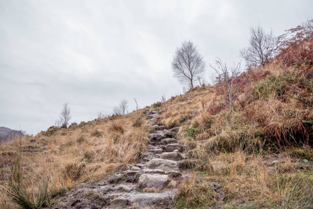 istock Scenic view in Scotland 890348792