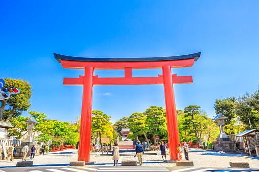 Kamakura, Japan - April 23, 2017: red torii main gate in the shrine's entrance of Tsurugaoka Hachiman, the most important Shinto shrine in the city of Kamakura, Kanagawa Prefecture of Japan. Blue sky.