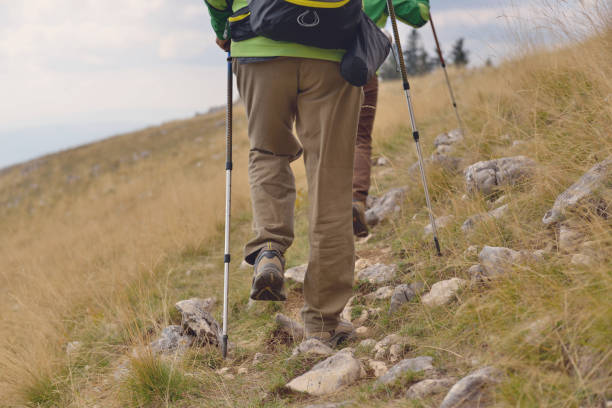 istock Young hikers walking with trekking poles 890369086