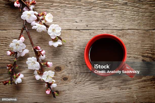 Apricot Spring Flowers And Coffee Cup On Wooden Background Stock Photo - Download Image Now