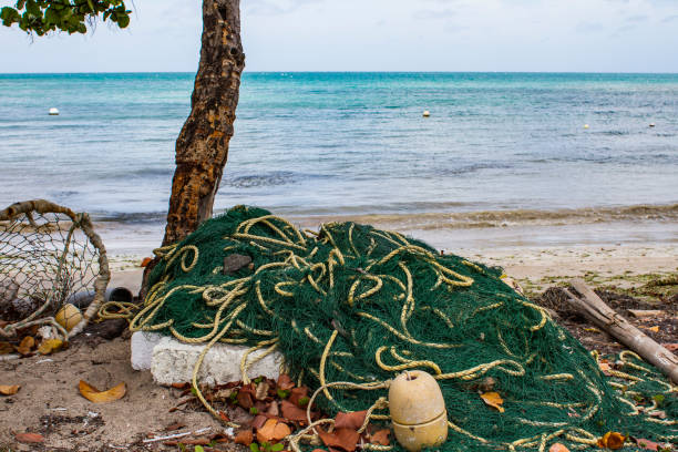 istock Fishing Net on Carribbean Beach 890372510