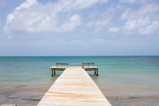 Long Dock on the Ocean stock photo