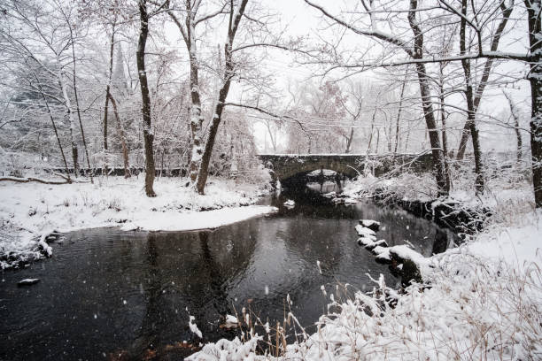 istock Snowing over the trees, river and bridge 890372886