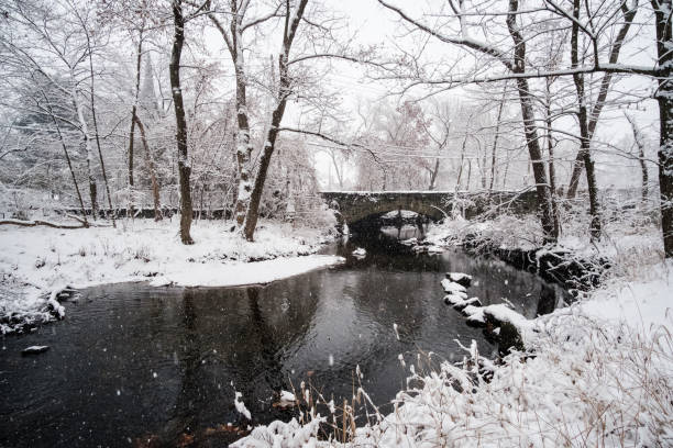 Snowing over the trees, river and bridge Snowing over the trees, river and bridge winter rye stock pictures, royalty-free photos & images