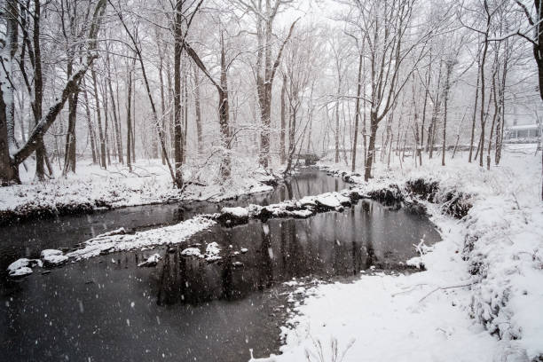 istock Snowing over the trees and river 890376650
