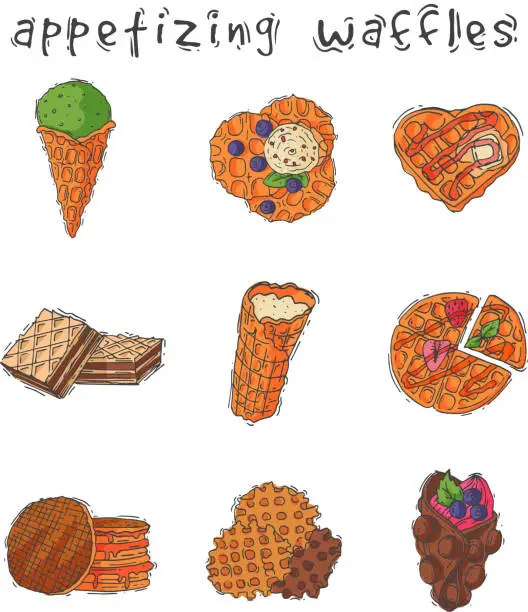 Vector illustration of Different wafer cookies waffle cakes pastry cookie biscuit delicious snack cream dessert crispy bakery food vector illustration