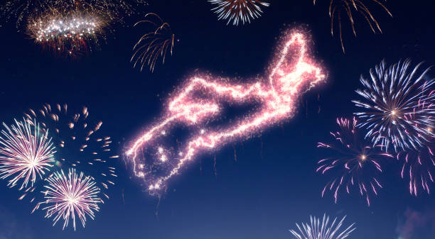 istock Night sky with fireworks shaped as Nova Scotia.(series) 890393222